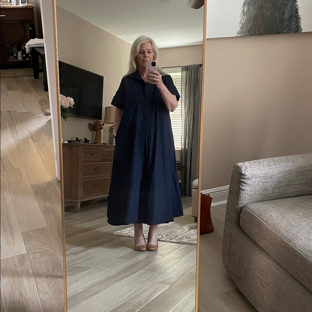 Banana Republic Navy Dress
